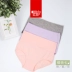 Quần lửng 3 dây đeo lưng nữ bằng vải cotton cao cấp quần lót nam seahorse Eo cao