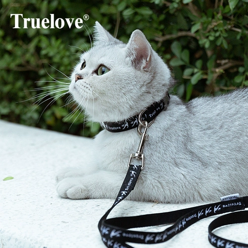 Truelove Cat Traction Copte Chain Выделенные противозачатые предметы профилактика кольца кольца и разорвать межрелигиозные товары