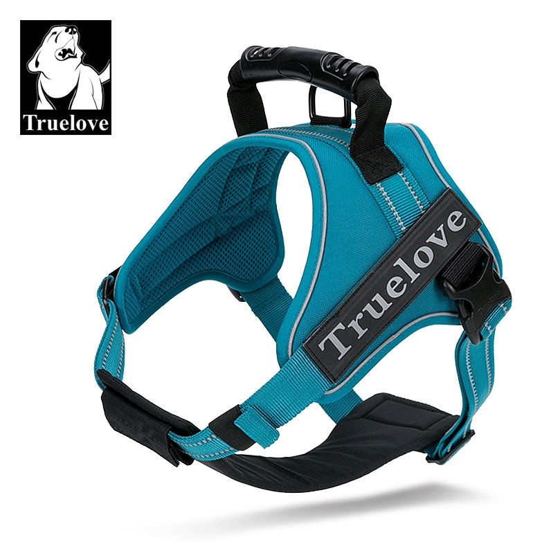 男子遛狗险被拽倒。只因为为没用这款防爆冲牵引绳