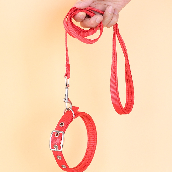 狗狗散步总被牵着走？你可够得以缺一条对的牵引绳