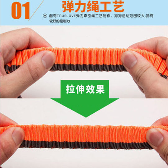 Truelove pet leash dog leash dog chain dog leash golden retriever large dog buffer elastic traction