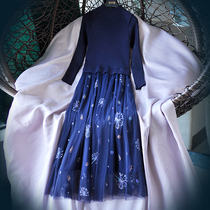 Exquisite temperament slimming knitted mesh stitching dress embroidered sequin long dress 20 autumn and winter