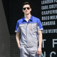 Пять династий с серыми синими плечами