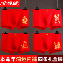 Arctic velvet mens red underwear mens year of life genus rat pure cotton boxer shorts red plus size boxer shorts head