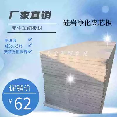 Suzhou Shengyi direct sales 50MM Silicon rock color steel sandwich Purification Board medical operating room partition panel workshop hanging ceiling