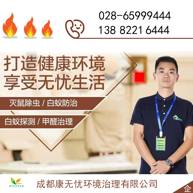 Chengdu eradication termite door-to-door service professional rodent eradication insecticide cockroach flea bedbug ant professional eradication company