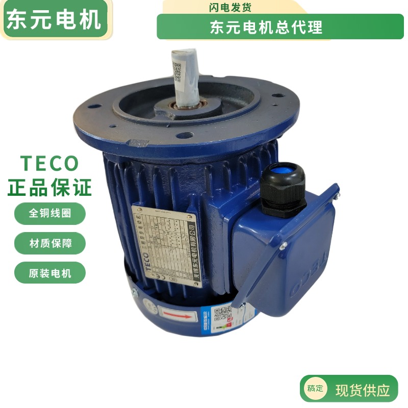 TECO TECO Motor 0 75 0 37 1 5KW vertical brake motor AEFF AEMV motor