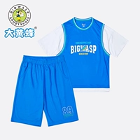 Красочный синий