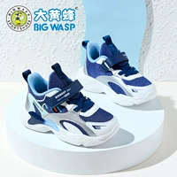 Haze Blue (Spring Double Network)