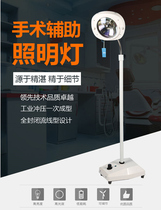 Adjustable vertical single hole shadowless lamp Surgical auxiliary mobile surgical lighting Hospital embroidery inspection lamp