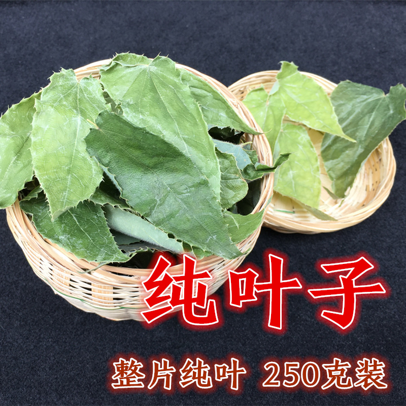 Pure wild Turbin Leaf Tea Bubble water 250g Chinese herbal medicine Xianling Spleen Male Persistent Lock Yang Nourishing Tea Non 500g