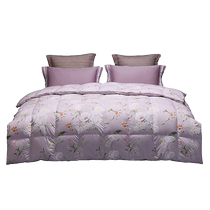 Luolai Home Textiles down and goose down quilt 95 white goose down winter quilt thickened and warm spring and autumn quilt core two-in-one quilt