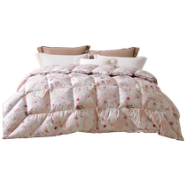 Luolai Home Textiles Down Quilt Winter Quilt Thickened Warm Quilt Core Single Double Class A Zone 95 Goose Down Four Seasons Quilt