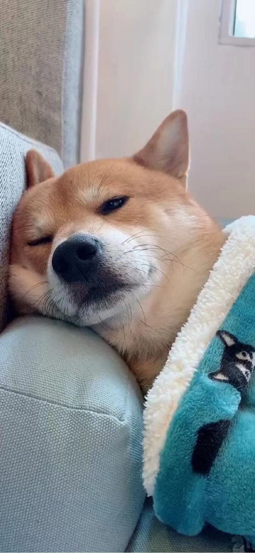 老刘爱钓鱼
