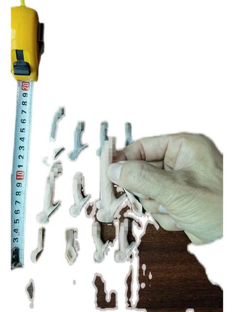 In Stock 1/6 Scale Action Figure Accessories for Male Figures, Jj, Penis, Little Brother, Set of 5