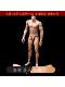 In Stock Hxtoys 1/6 Soldier Male Muscle Body Model Suitable for 1:6 Ht Soldier Head Sculpt Model