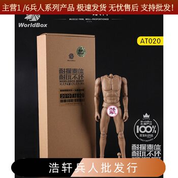 Worldbox 1/6 Male Action Figure Durable Body with Neck and Head Sculpt Universal Version At020 Joints Movable