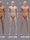 Spot mold core MAHA studio MH2201 1/6 modular movable male soldier doll joint body