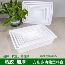 Small herbal snack package plastic ice plate rectangular small plate without cover ice box cooked dish barbecue selection