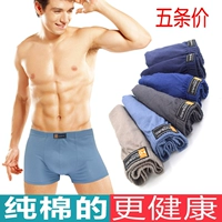 Đồ lót cotton nam, thắt lưng, boxer, đồ lót cotton trẻ trung, đồ lót cao đến eo quan lot nu dang dui