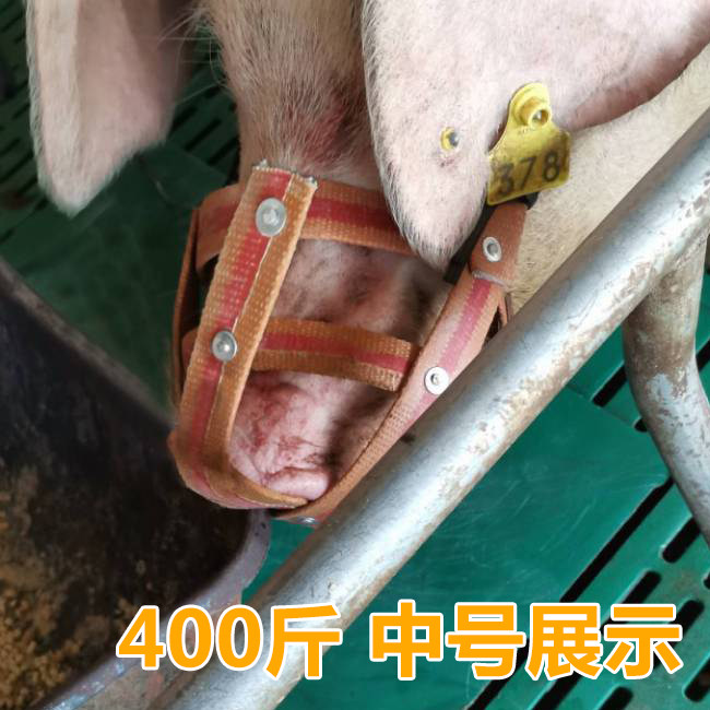 Cow mouth cover sow anti-bite piglet mouth cover horse cage head cover cow mouth cover anti-random eating bite anti-bite rack sow mouth cover