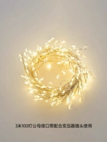 3 метра, 100 световых серебряных проводов, штекер и розетка, одиночный разъем использовать нельзя, их необходимо подсоединить к вилке.