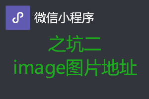 微信小程序从入坑到放弃之坑二:image图片地址的坑 微信小程序从入坑到放弃之坑二:image图片地址的坑