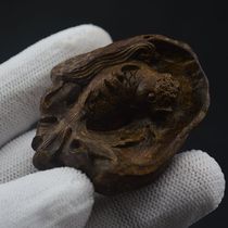 The sunken fragrant wood carving goldfish is more than a year old