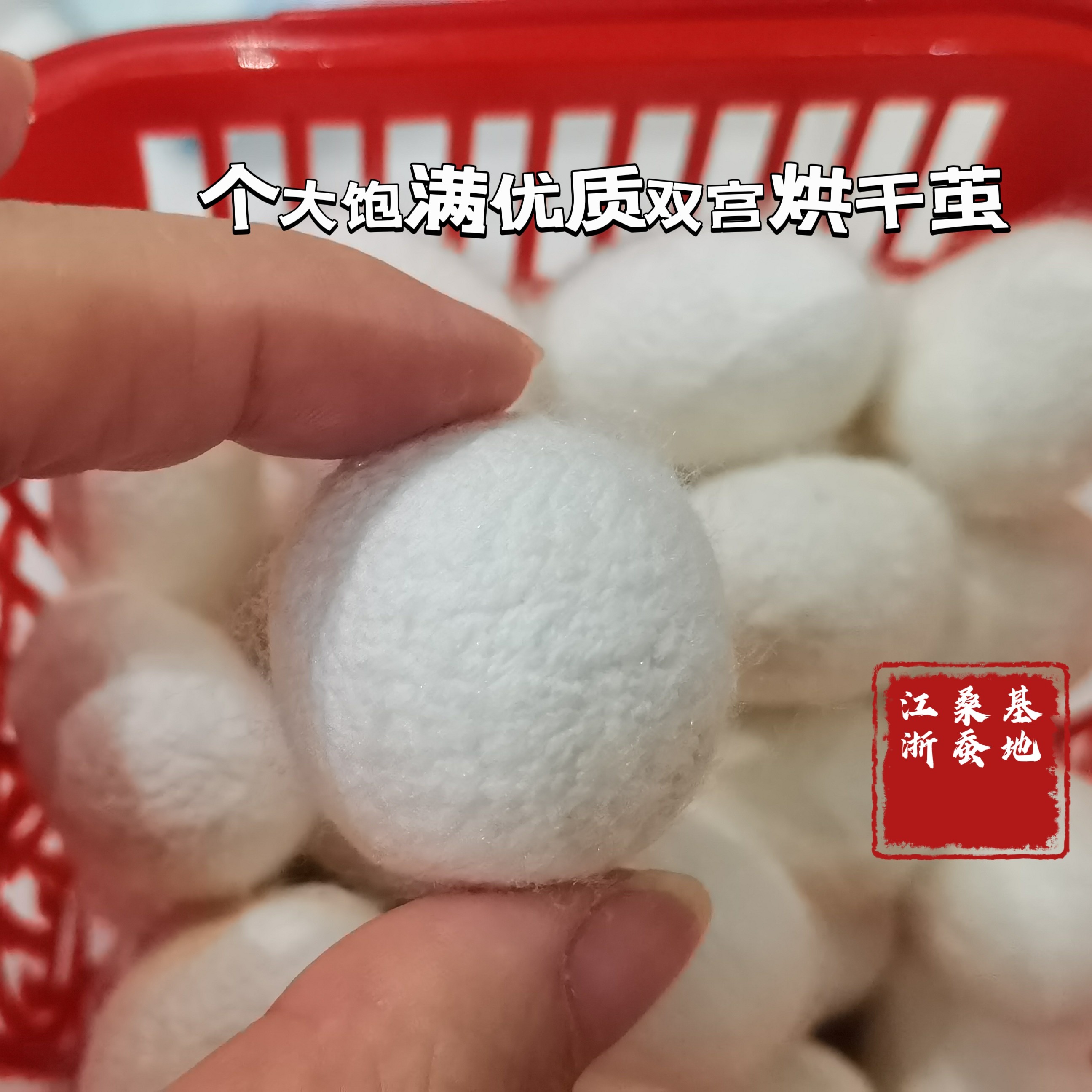 天然完整烘干双宫桑蚕茧：让你的睡眠变成奢华享受的秘籍！ -蚕茧-淘宝好物网