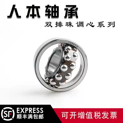 Human-oriented double-row self-aligning ball bearings 2313 2314 2315 2316 2317 2318TN RS M K