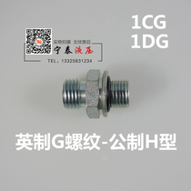 1CG1DG Eaton Pike 24 degree cone card sleeve transition joint English pipe thread O-ring seal end straight-through joint