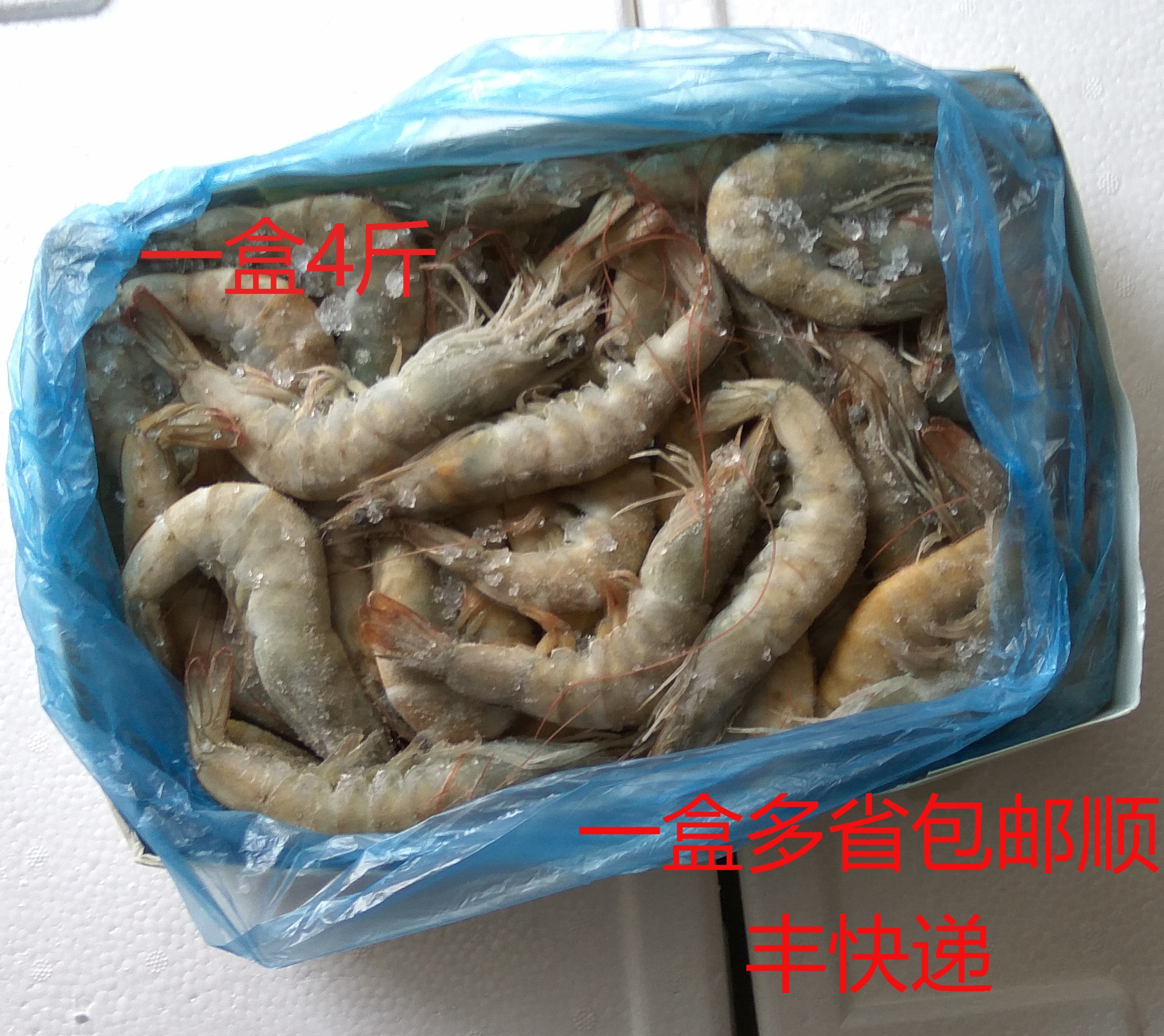 Wild large shrimp fresh and fresh large shrimp oversized sea shrimp frozen shrimp based boat frozen for 4 catties