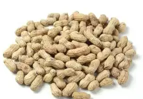 Native peanut with Shell, original peanut, fried peanut, fried new peanut, 250g