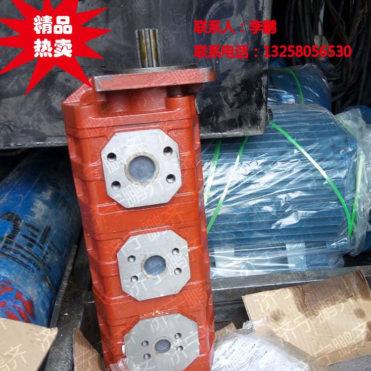 50 50 50 Double-linked gear pump crane oil pump oil supply stable pressure high quality and low price