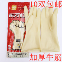 Dongfanghong thick beef tendon gloves men and women housework dishes kitchen waterproof industrial protection acid and alkali resistance 10 pairs