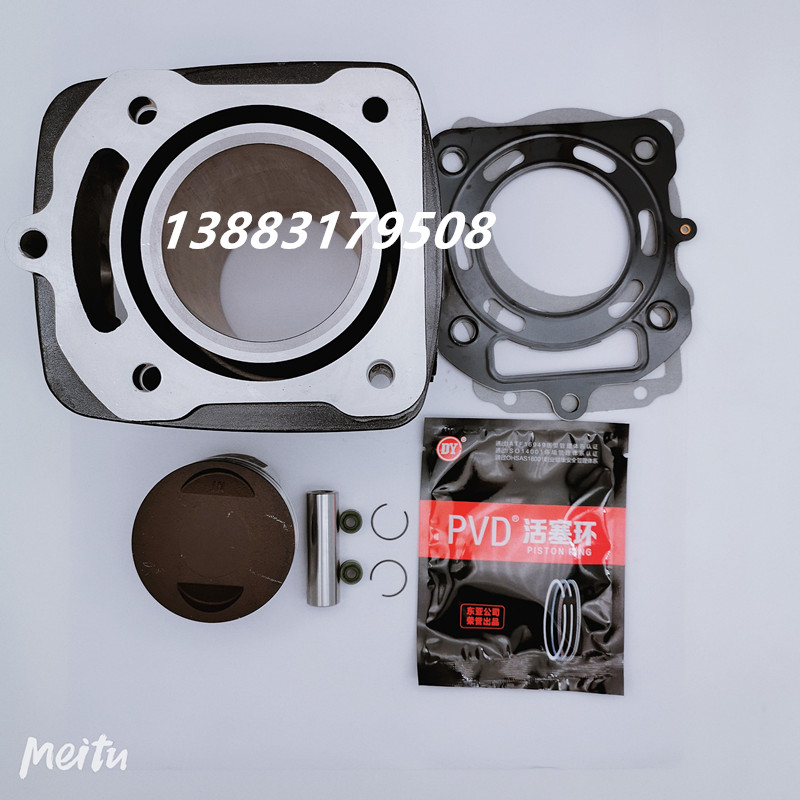 Original Wang Wang Tiger Tsunami 300 cylinder Wang Tiger 200 cylinder piston ring