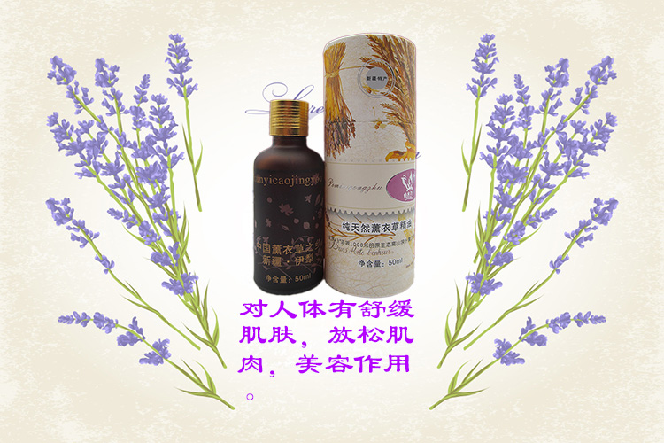 Tân Cương Yili tinh dầu oải hương tinh dầu chăm sóc da Hương liệu pháp massage cơ thể đích thực 50ML tóc thẳng đích thực tinh dầu bạc hà
