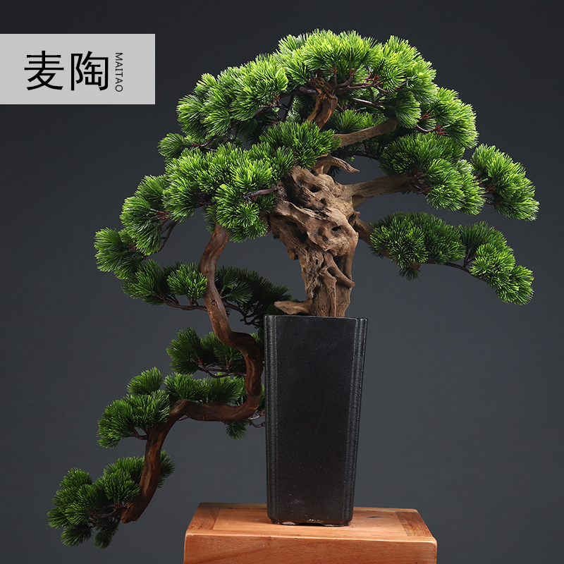 MaiTao retro simulation guest - the greeting pine bonsai home furnishing articles furnishing articles between sitting room porch soft outfit green plant example ceramics