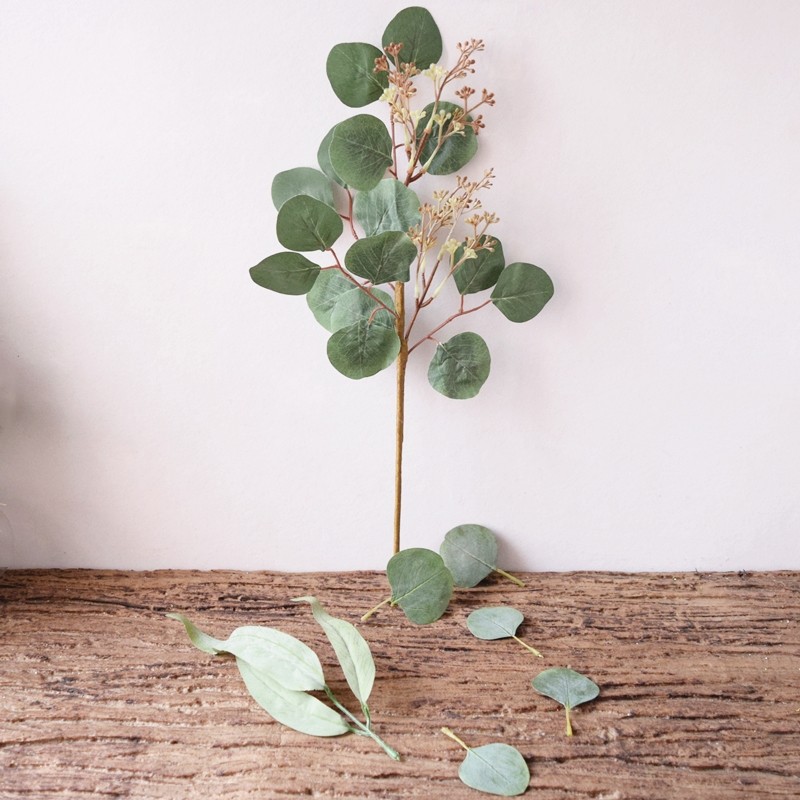 Simulation of Yugali leaf flower decoration Yongsheng Flower Ring green plant Photographic styling props fake money eucalyptus leaves