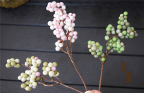 Simulation flower Berry small red fruit flower arrangement material table flower decoration Christmas decoration scene layout Yew fruit