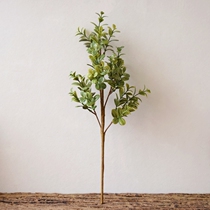 Emulated leaf single branch plastic gold money grass green plant Milan green leaf copper money grass fake flower and grass wall decoration diy