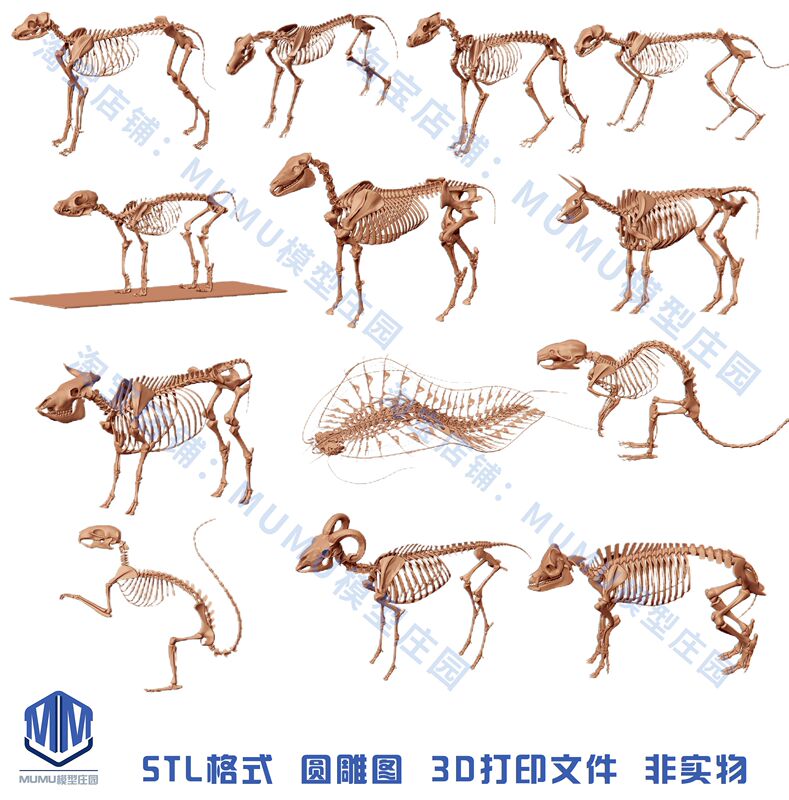 459 Animal Skeleton Models (Pig, Horse, Cow, Sheep, Rat, Cat, Dog, Wolf, Insect) Stl Files 3D Printing Model Drawings