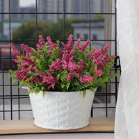 Лаванда Роуз Красный+подвесная бассейн