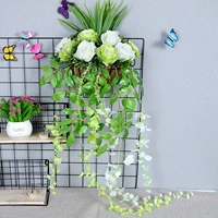 Нагото розовая зеленая белая стена висит