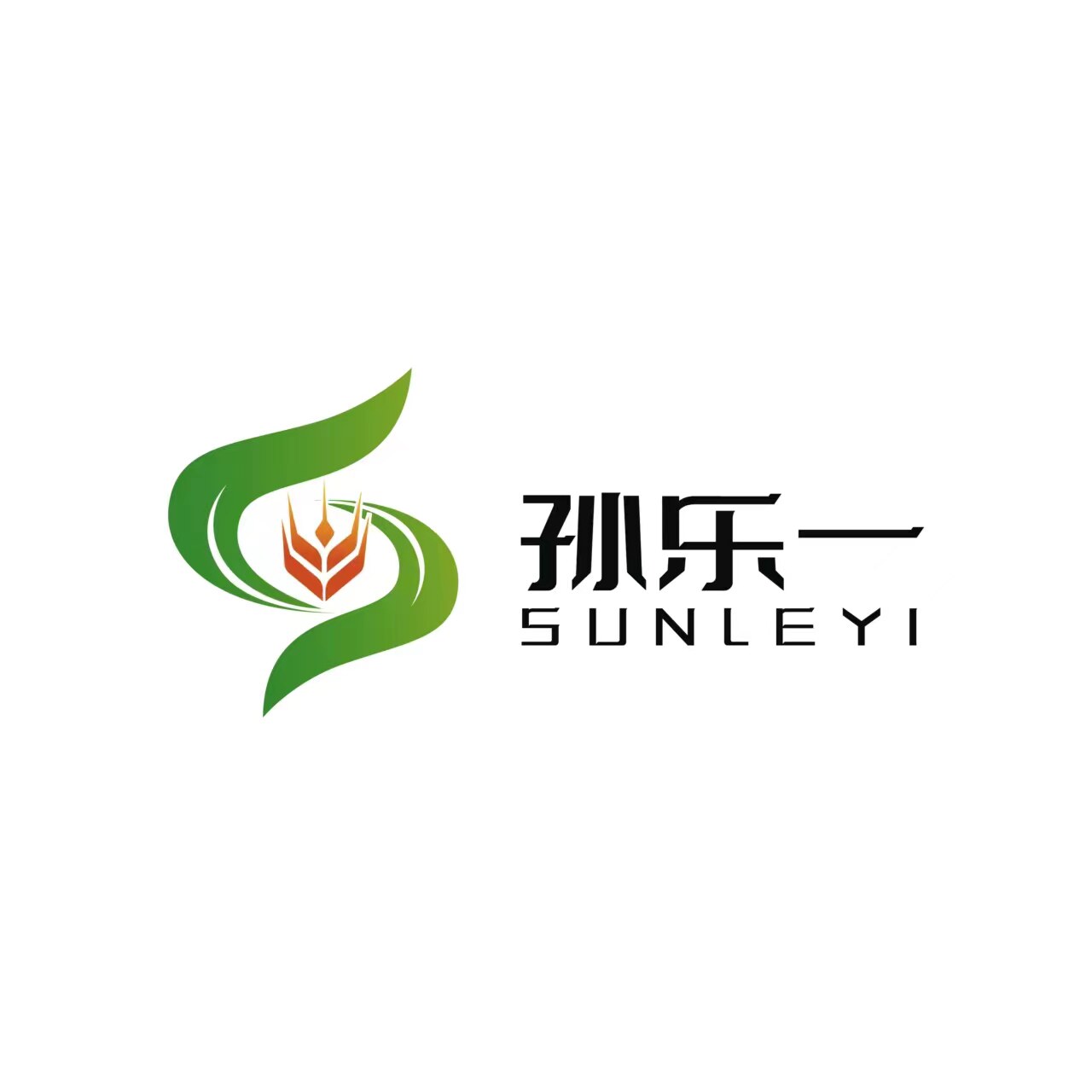 孙乐一的农村