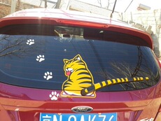 автоаксессуар
