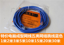 Special computer molding network cable five types of network jumper Blue 1 meter 2 meters 3 meters 5 meters 10 meters 15 meters 20 meters 30 meters