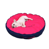 Роза красная