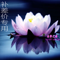 Special special Link courier postage fee to make up the difference