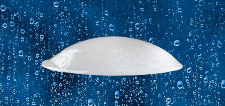 Pads pour soutien-gorge - Ref 816280 Image 29